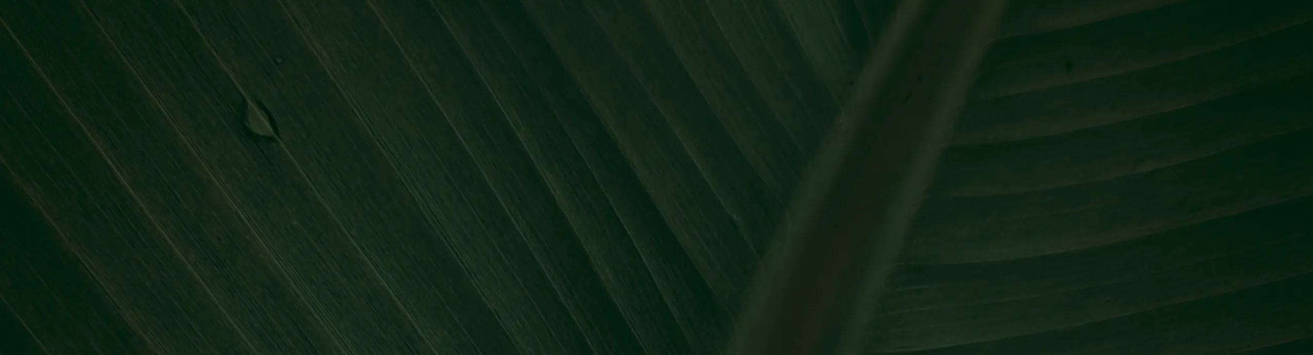 Facebalm - Earth&Wild